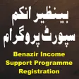 Benazir Income Support Programme Apps